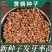 黄精种子当年新采黄精籽发芽率高批发零售种植简单好管理