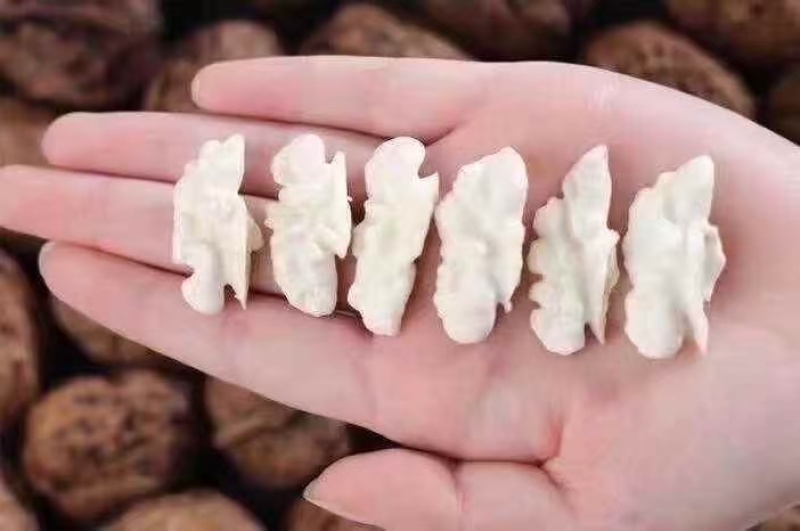 精品鲜核桃光子湿核桃
