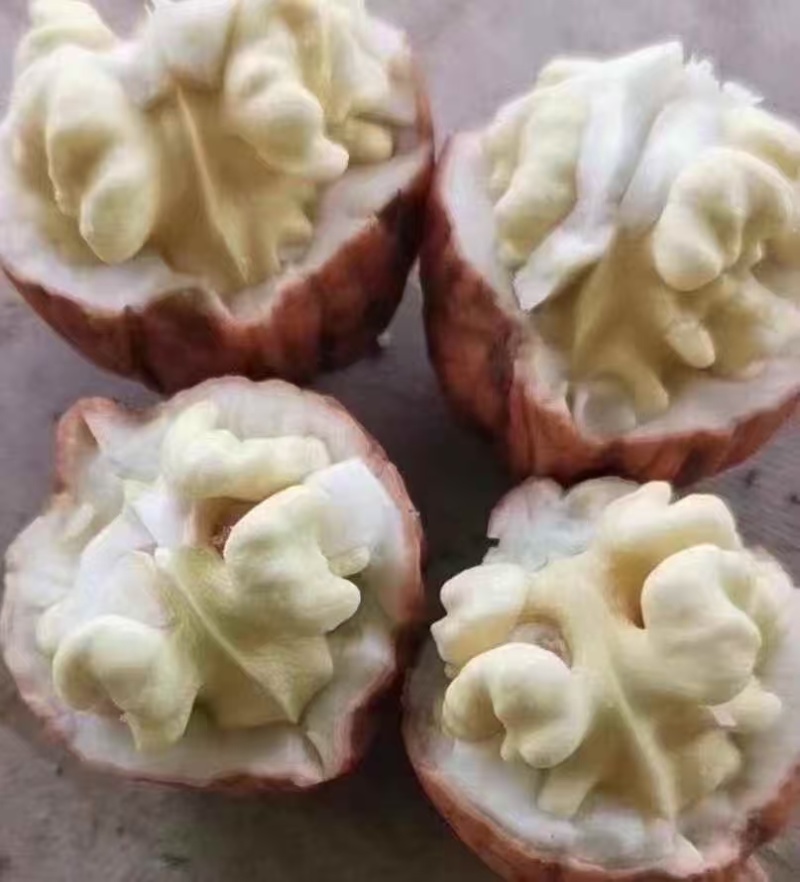 精品鲜核桃光子湿核桃