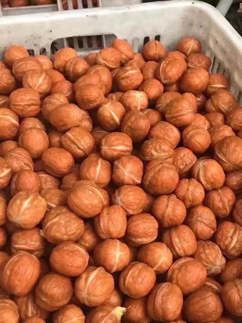 精品鲜核桃光子湿核桃