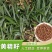 黄精种子批发零售黄精籽药食同源品种改良高产发芽率高