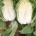 山东平度白菜萝卜，泡菜货大量供应