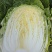 山东平度白菜萝卜，泡菜货大量供应