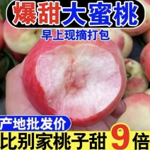 【牛商推荐】新鲜应季露天毛桃大量上市中，可供商超外贸出口