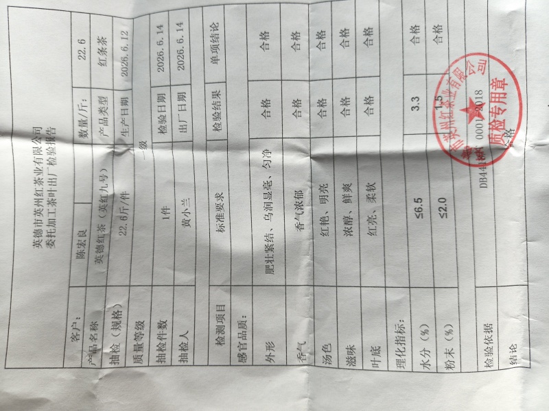 英红九号红茶