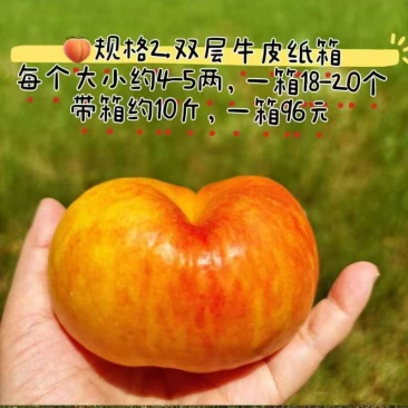 代办沂蒙山区桃子蟠桃油蟠毛蟠苹果各种时令水果。