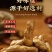 爆汁灌汤卤汁花生（五香/麻辣）工厂直发手续齐全