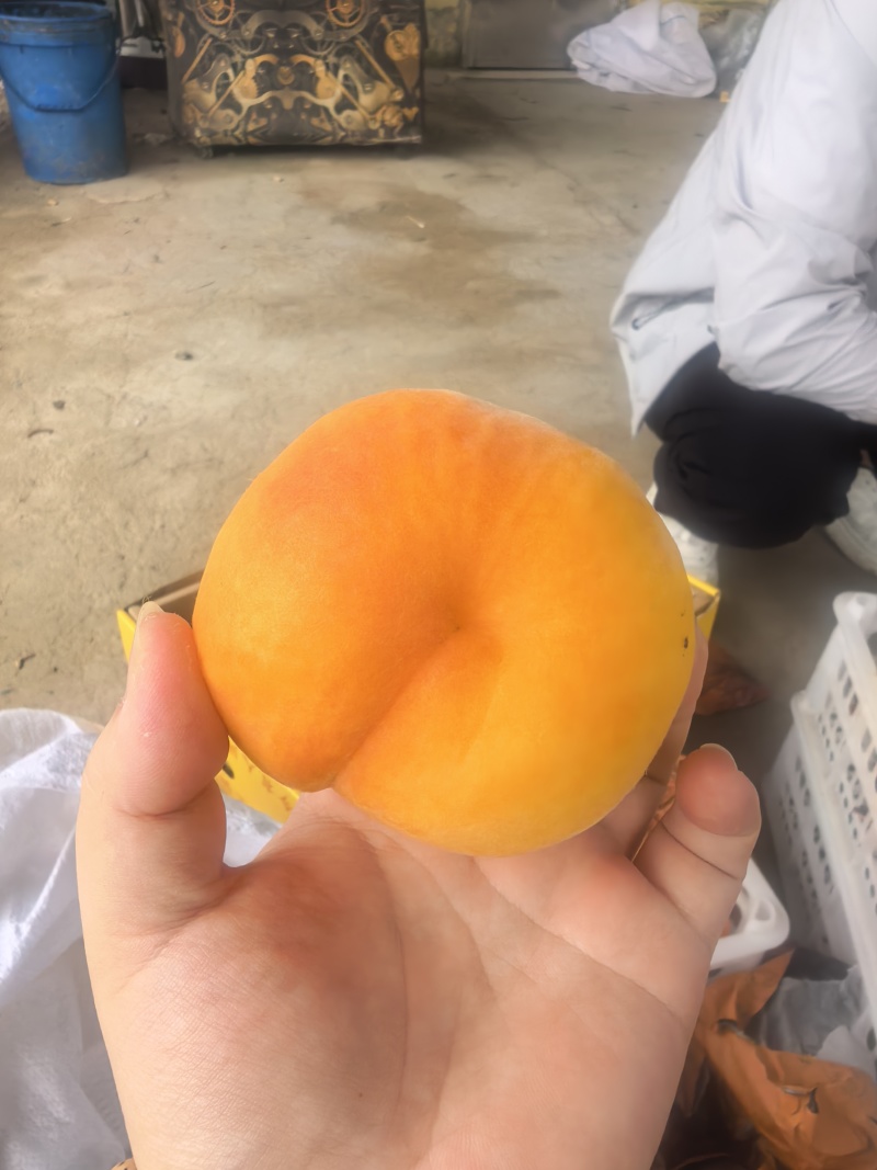 黄金蜜桃