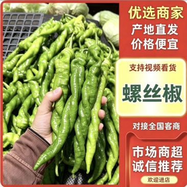 精品螺丝椒支持视频看货对接各大市场商超平台