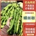精品螺丝椒支持视频看货对接各大市场商超平台