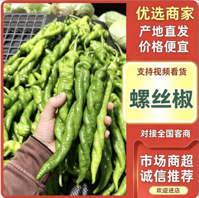 精品螺丝椒支持视频看货对接各大市场商超平台