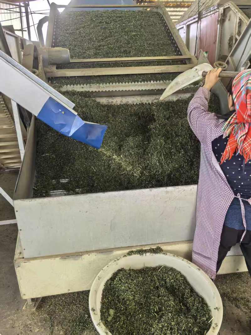 优质糯米香叶，从种植到成品一条线，没有中间商赚差价