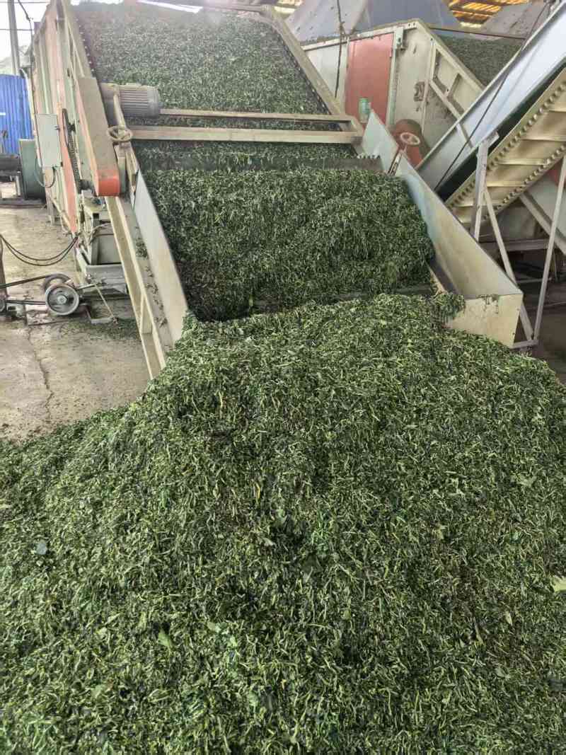 优质糯米香叶，从种植到成品一条线，没有中间商赚差价