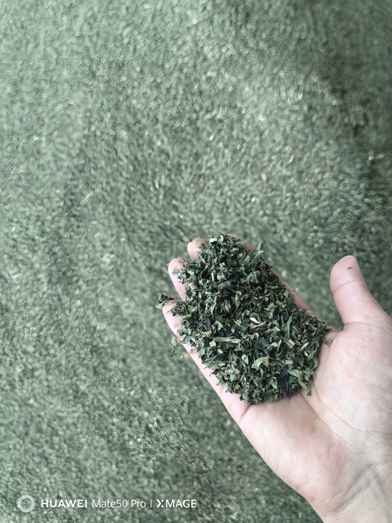 优质糯米香叶，从种植到成品一条线，没有中间商赚差价