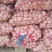 夏邑县60吨大蒜米料已过筛¹³5º769¹066
