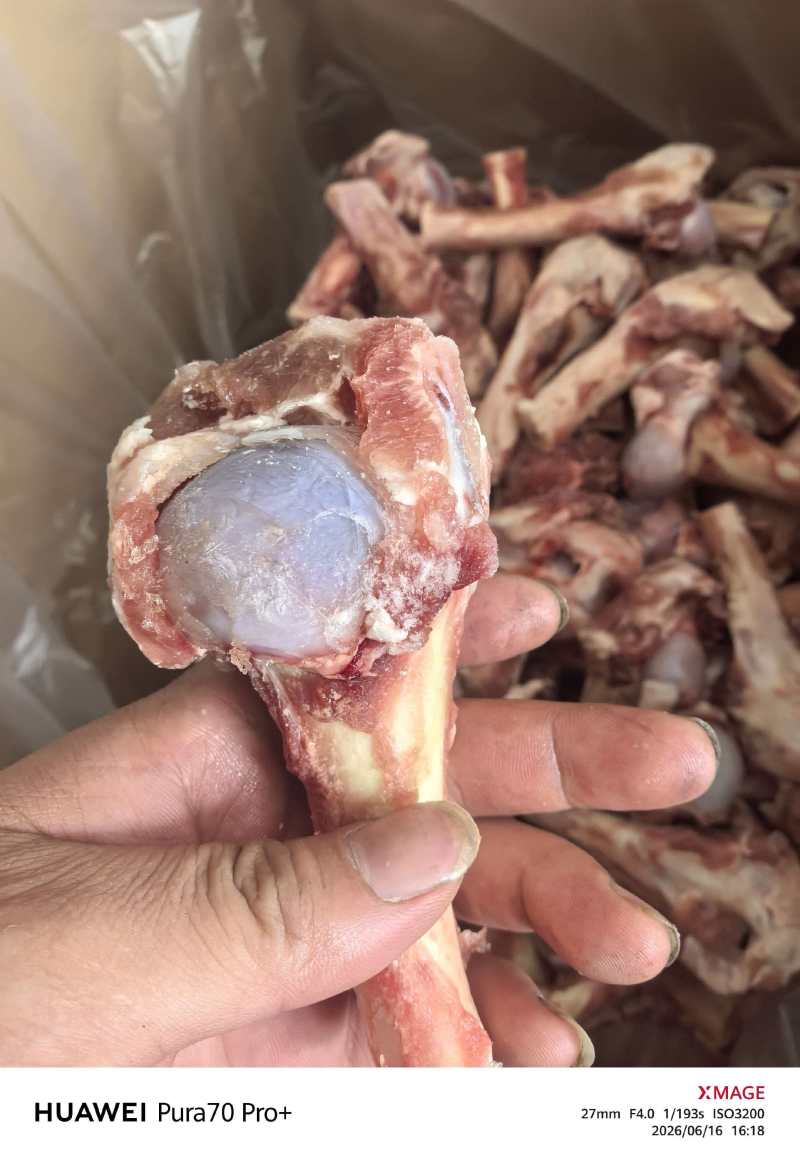 羊棒骨几元一斤，新货，就是肉少点
