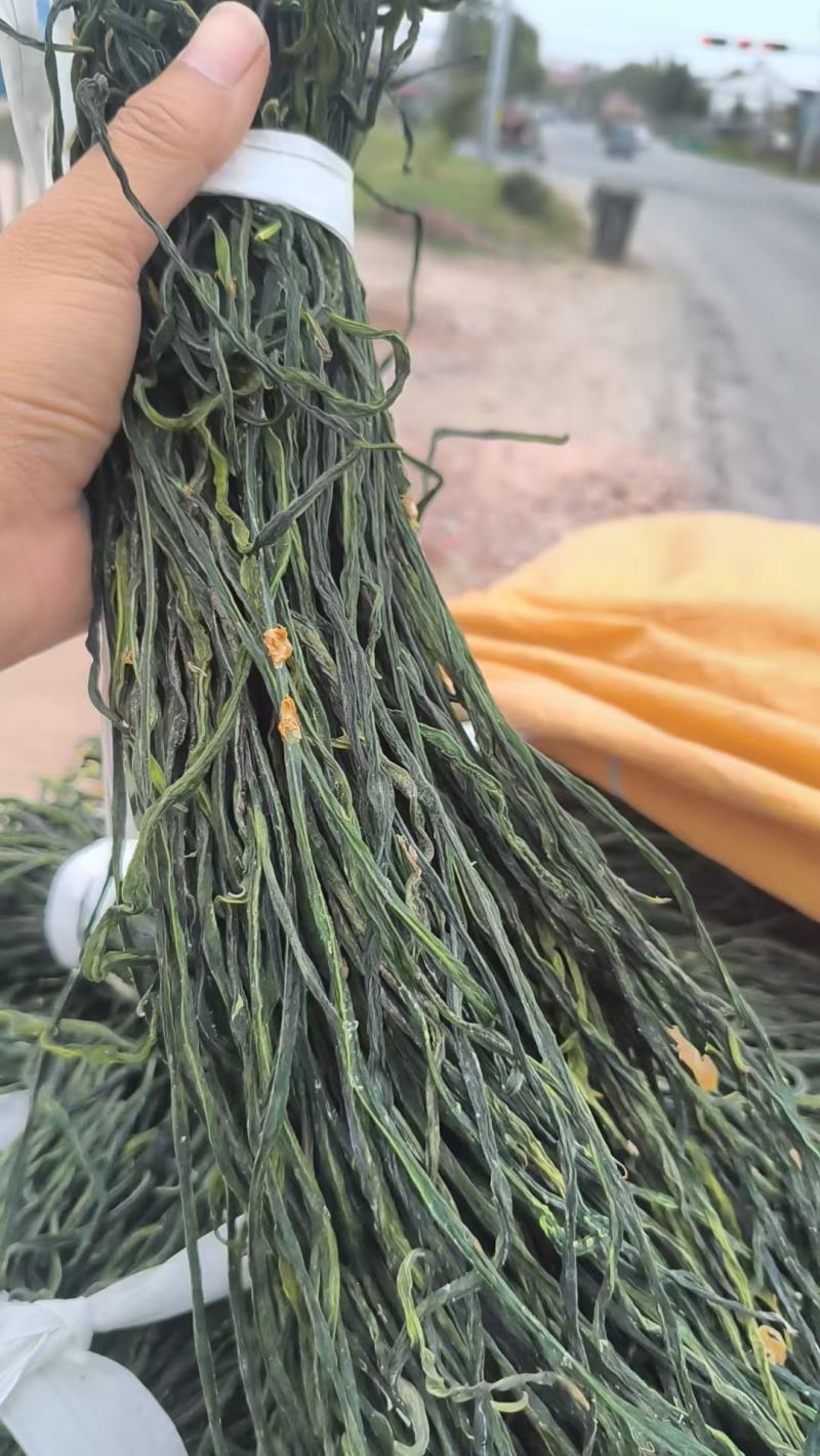 成武干豆角