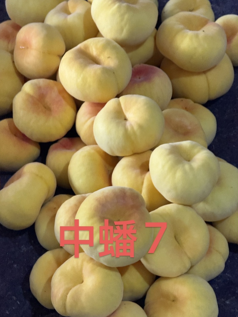 山东蒙阴蜜桃黄油桃，黄毛桃，黄蟠桃，奶油蟠桃，承接代发业务