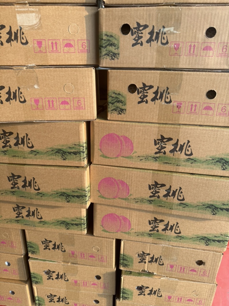 山东蒙阴蜜桃黄油桃，黄毛桃，黄蟠桃，奶油蟠桃，承接代发业务