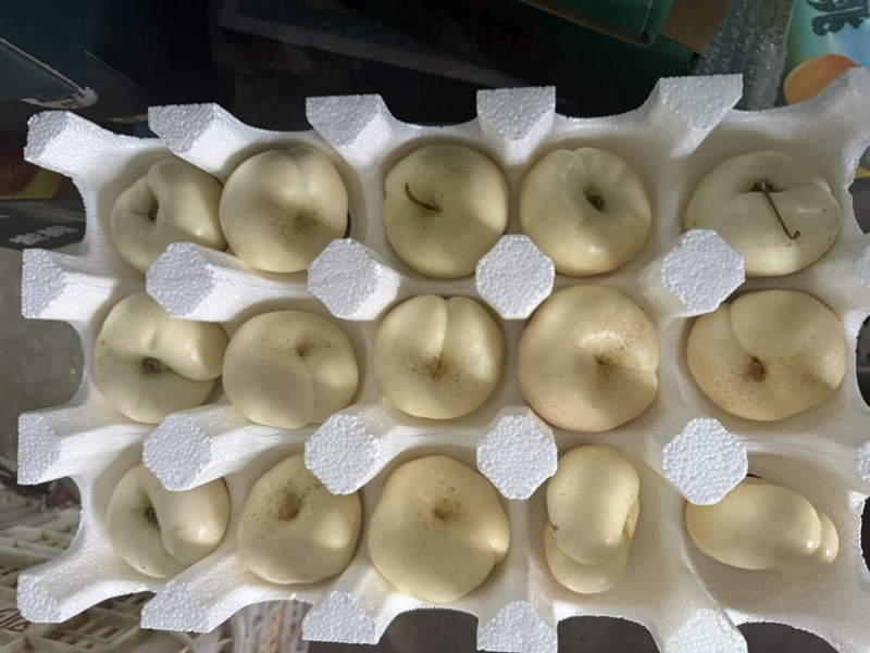 山东蒙阴蜜桃黄油桃，黄毛桃，黄蟠桃，奶油蟠桃，承接代发业务