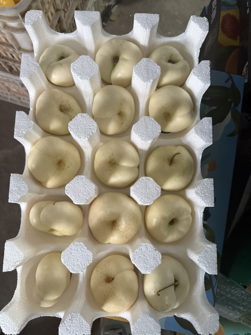 山东蒙阴蜜桃黄油桃，黄毛桃，黄蟠桃，奶油蟠桃，承接代发业务