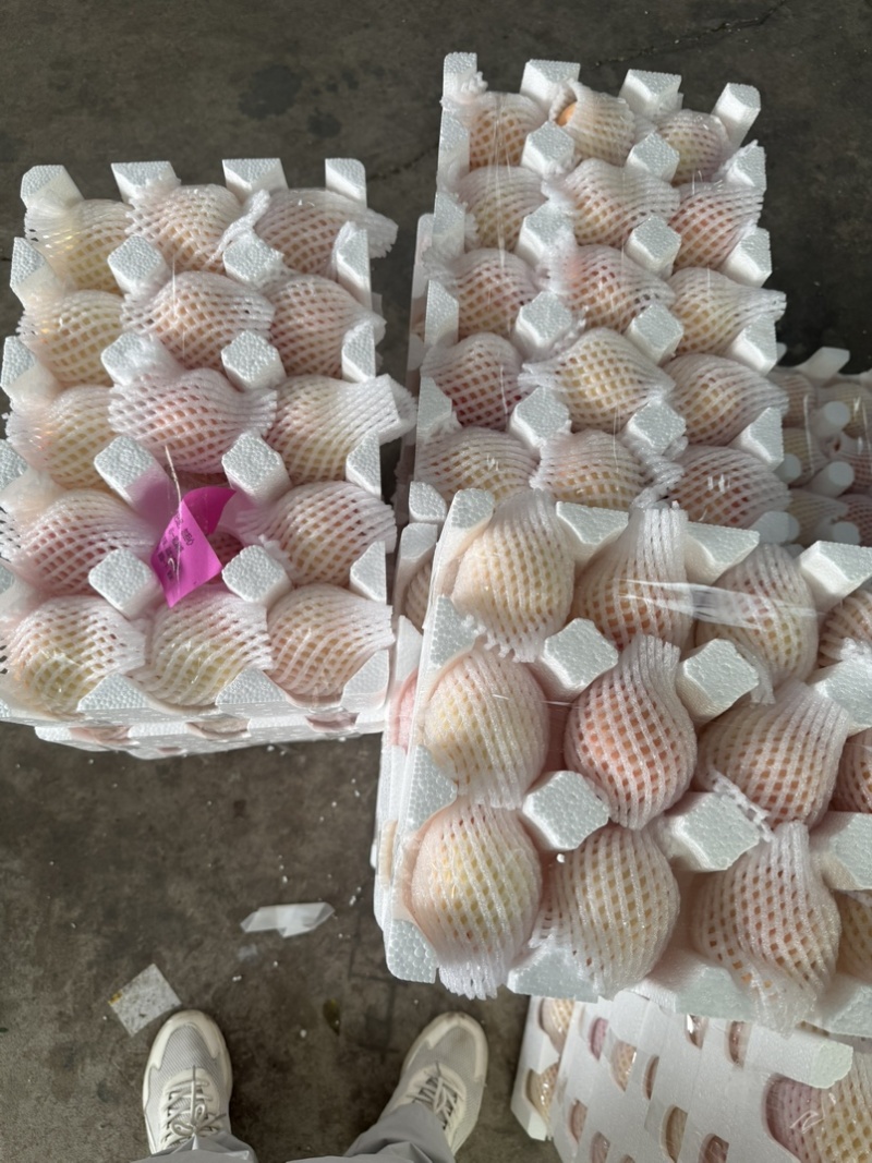 山东蒙阴蜜桃黄油桃，黄毛桃，黄蟠桃，奶油蟠桃，承接代发业务