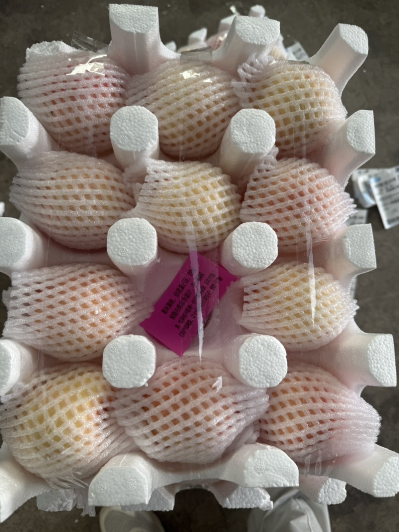 山东蒙阴蜜桃黄油桃，黄毛桃，黄蟠桃，奶油蟠桃，承接代发业务