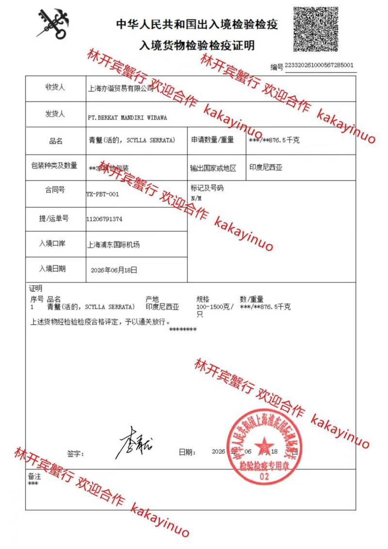 野生青蟹公蟹印尼肉蟹鲜活螃蟹3两10只装水产迷踪蟹