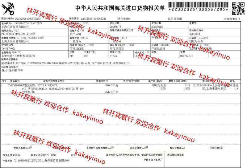 缅甸母蟹4-5两无膏孟加拉肉蟹青蟹肉蟹煲迷踪蟹鲜活铁蟹黑