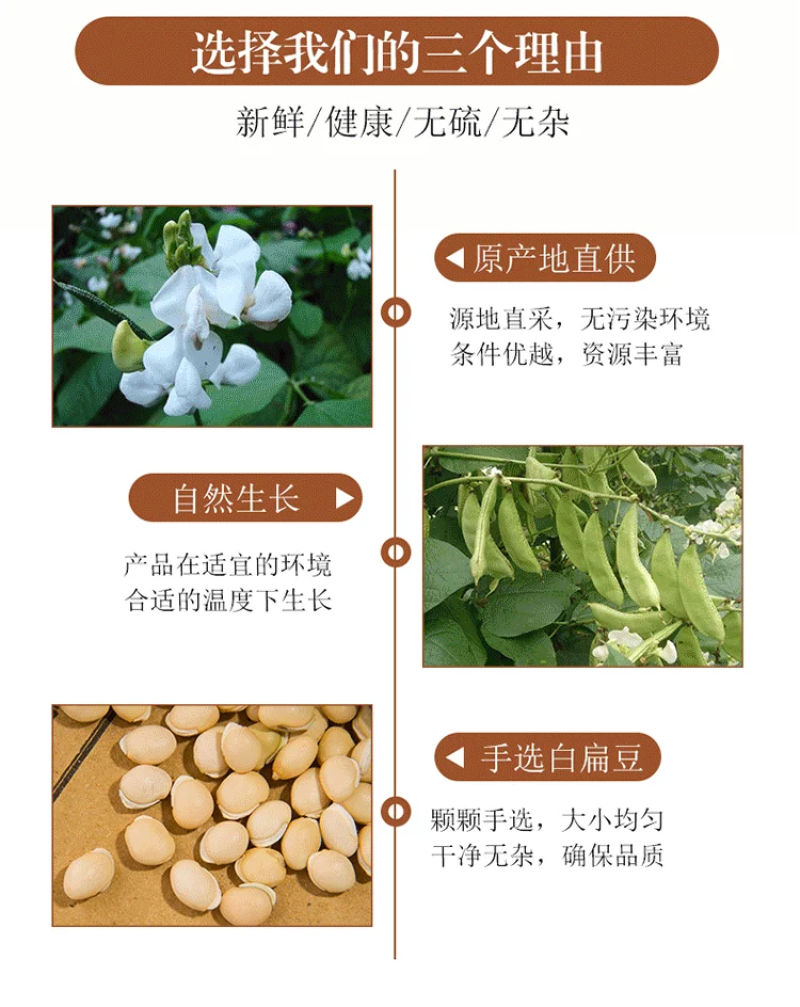 包邮）中药材白扁豆白扁豆白扁豆新货扁豆另有炒白扁豆