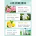 一次性洗手香皂片抑菌清洁家用旅行洗手片便携式洗手皂片洗手
