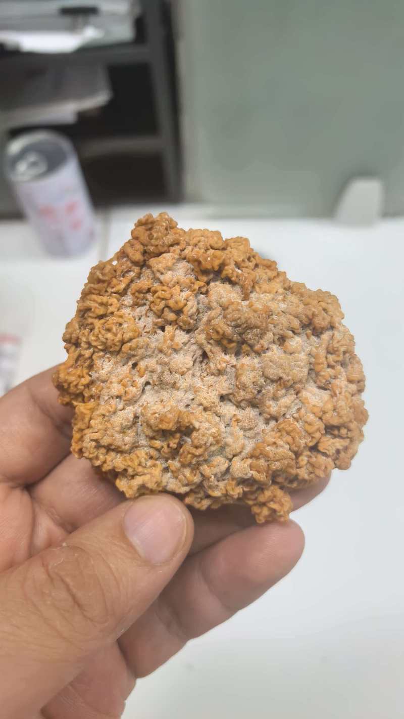 烘干金耳菌，泛白，处理价