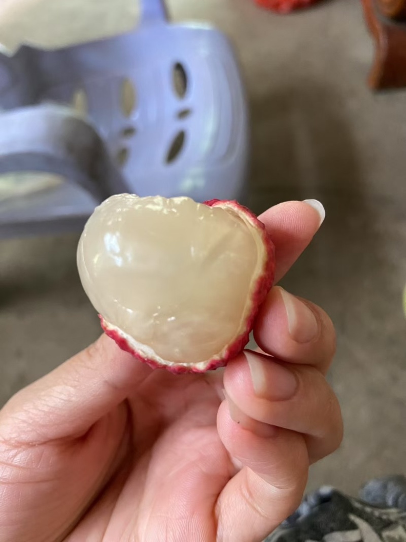 冰荔（荔枝中的爱马仕）