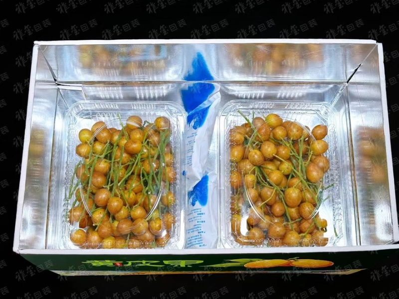 黑金刚黄皮