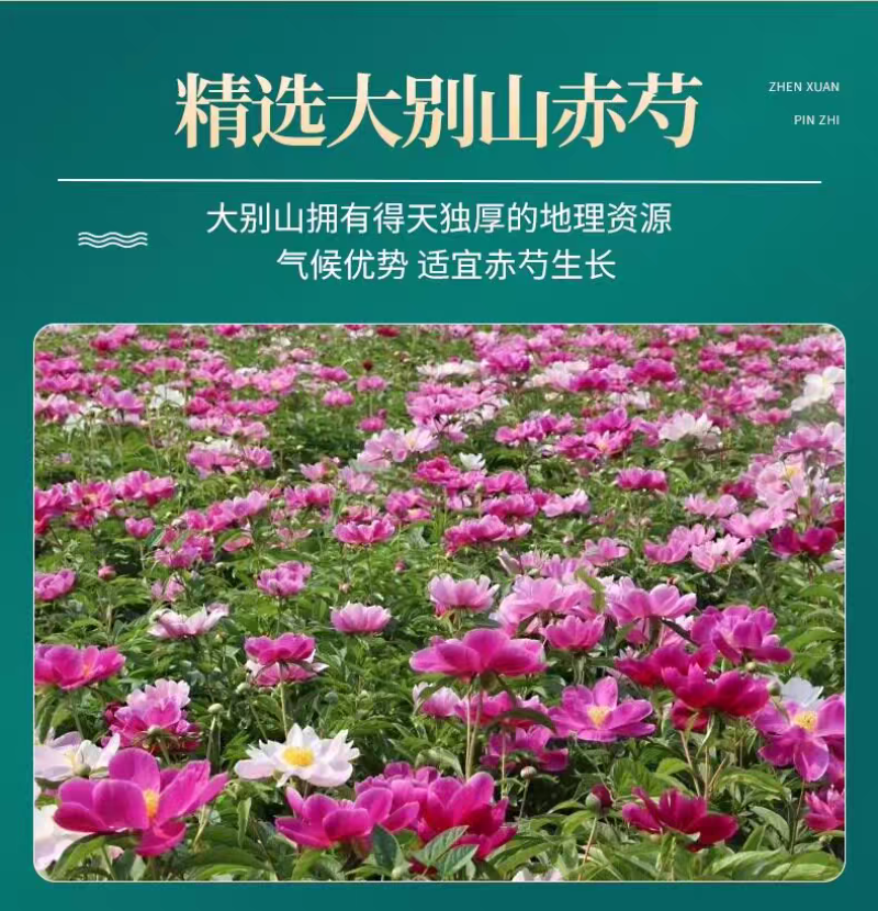 包邮）赤芍中药材1000克正宗新货无硫赤芍药赤芍1斤