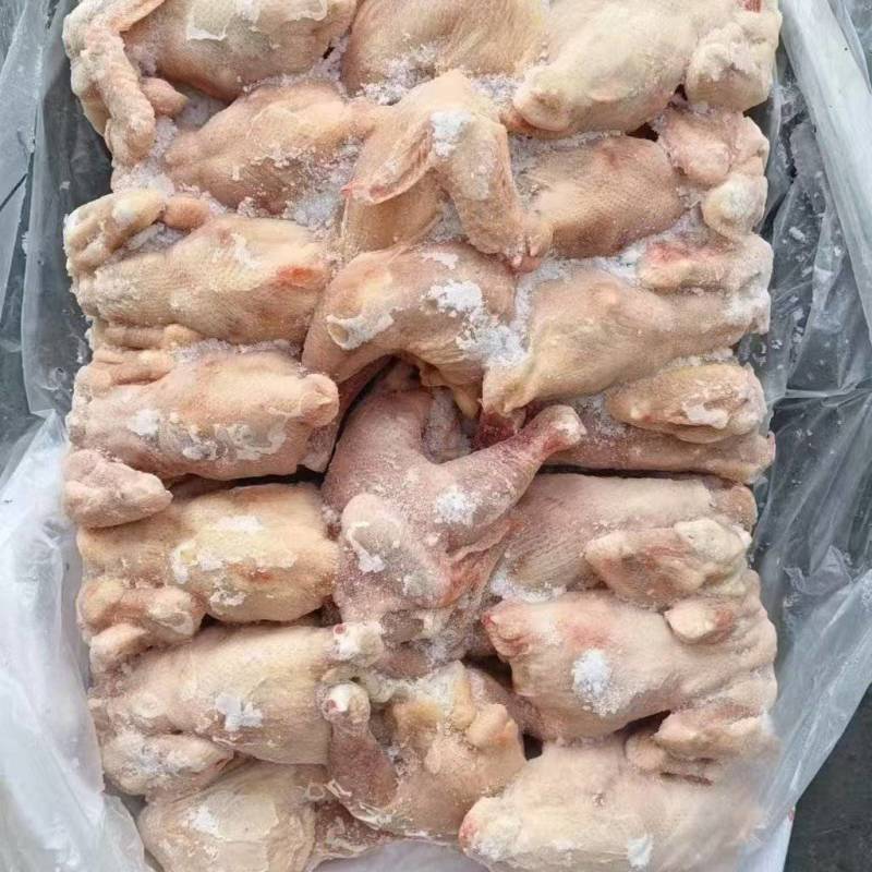 二级西装鸡有30吨货