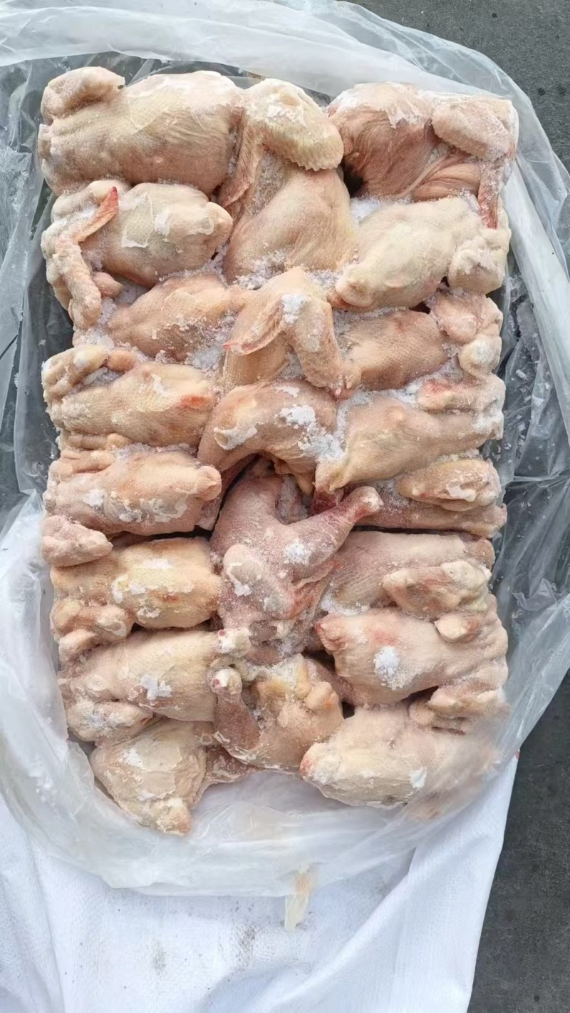 二级西装鸡有30吨货