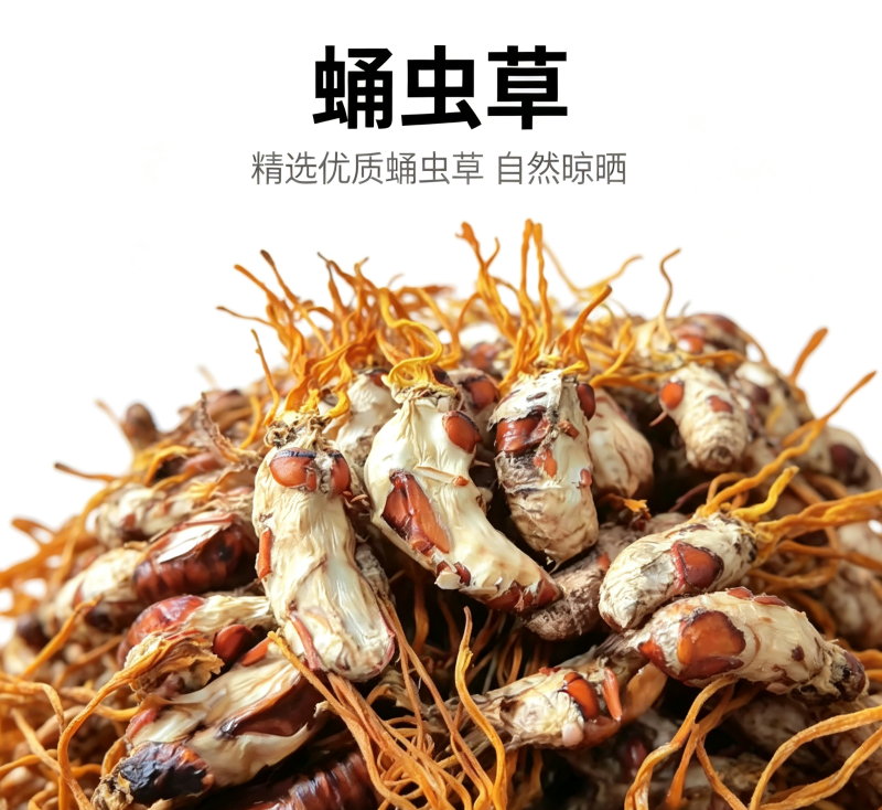 2026新货好品金蝉花养生滋补食天然无硫自然晾晒大货批发