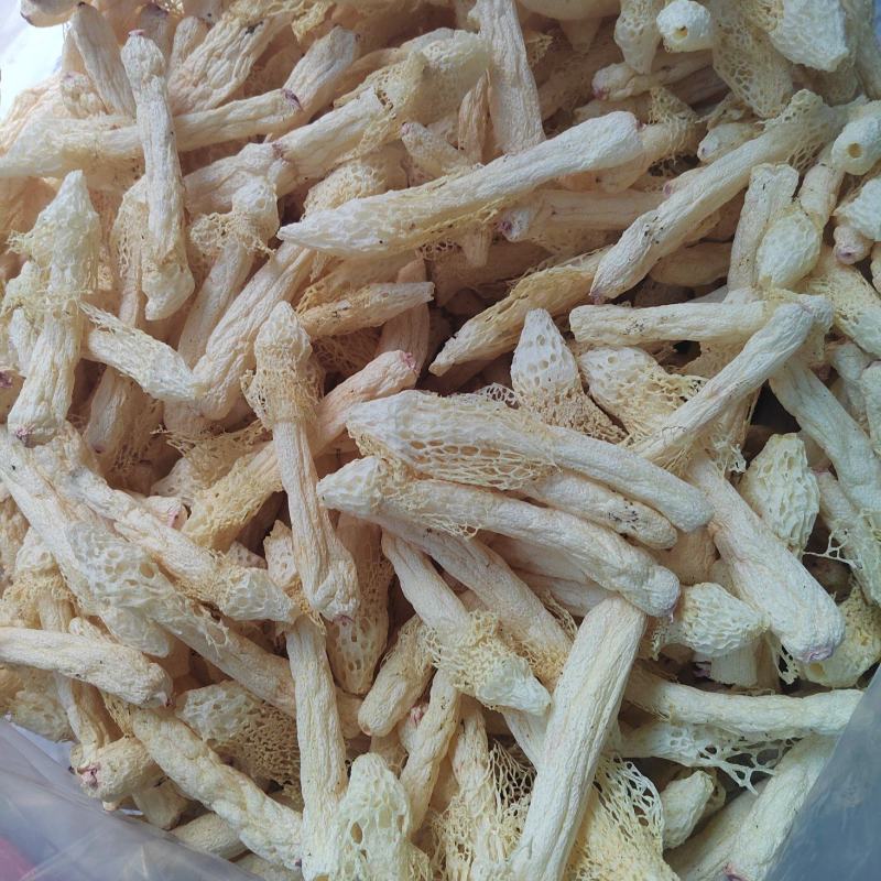 无硫红托竹荪