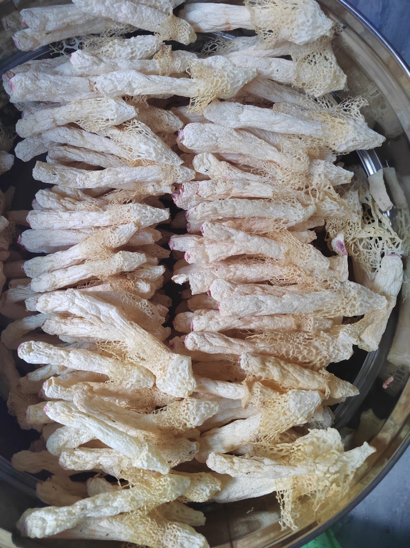 无硫红托竹荪