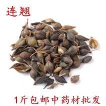 包邮）中药材连翘青翘老翘连壳落翘500g克