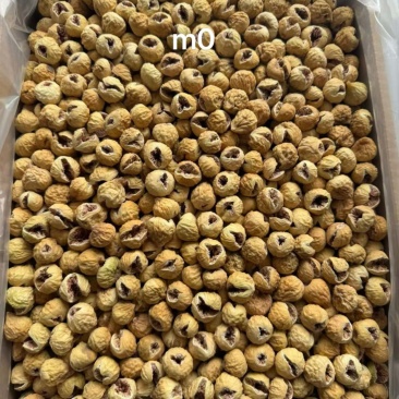 AA开花果，无花果干