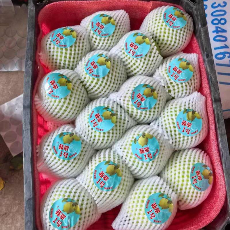 安徽酥脆一号梨基地直发对接商超团购一条龙服务量大从优