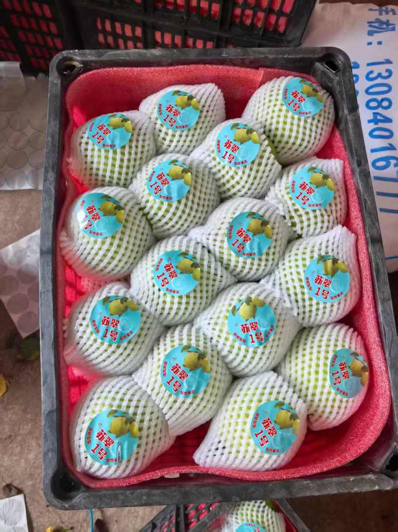 安徽酥脆一号梨基地直发对接商超团购一条龙服务量大从优