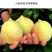 自家果园鹰嘴蜜桃，大量现货，可代收代发