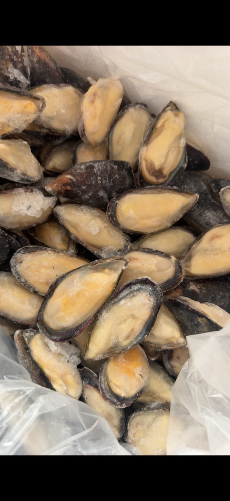青口贝半壳青口贝半壳海虹捞汁烧烤火锅食材