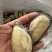 青口贝半壳青口贝半壳海虹捞汁烧烤火锅食材