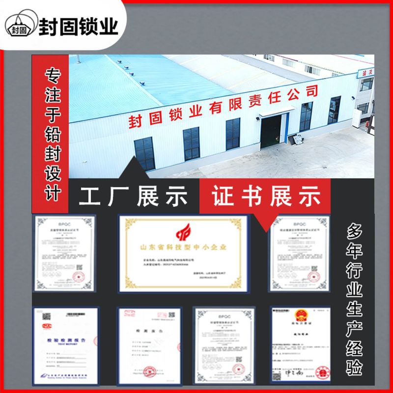 RFID超高频防拆防伪电子钢丝封条施封锁NFC物流标签铅