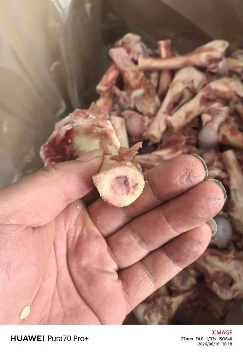 带肉羊棒骨