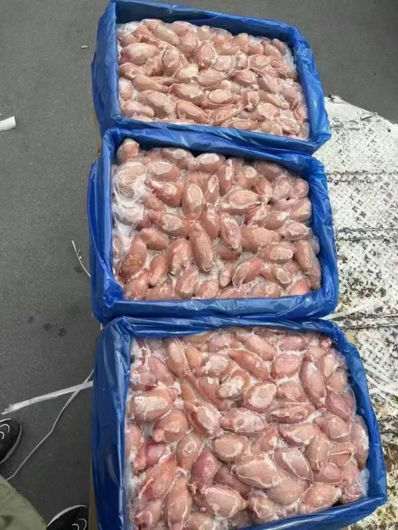 山羊宝